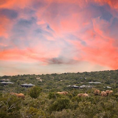 Kwandwe Private Game Reserve - Ecca Lodge Grahamstown Exterior foto