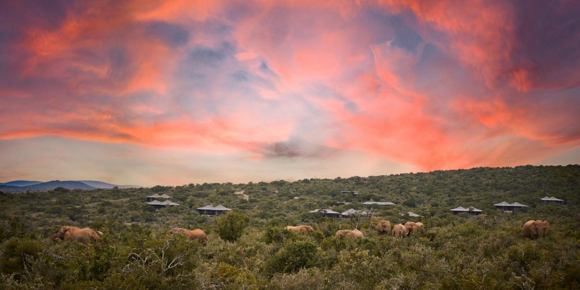 Kwandwe Private Game Reserve - Ecca Lodge Grahamstown Exterior foto